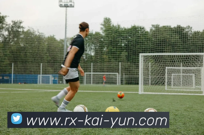 开云app发展历程